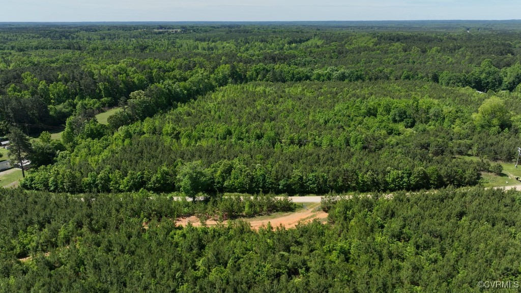 0 Brunswick Drive Alberta, VA 23821 - Photo 6 of 13 a view of a lush green forest with lots of trees