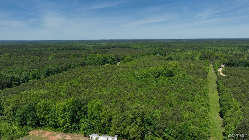 0 Brunswick Drive Alberta, VA 23821 - Photo 7 of 13 an aerial view of residential houses with outdoor space and trees