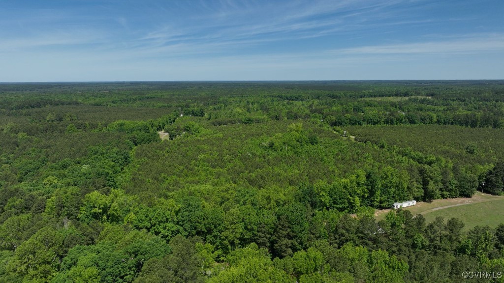 0 Brunswick Drive Alberta, VA 23821 - Photo 8 of 13 an aerial view of field with trees in background