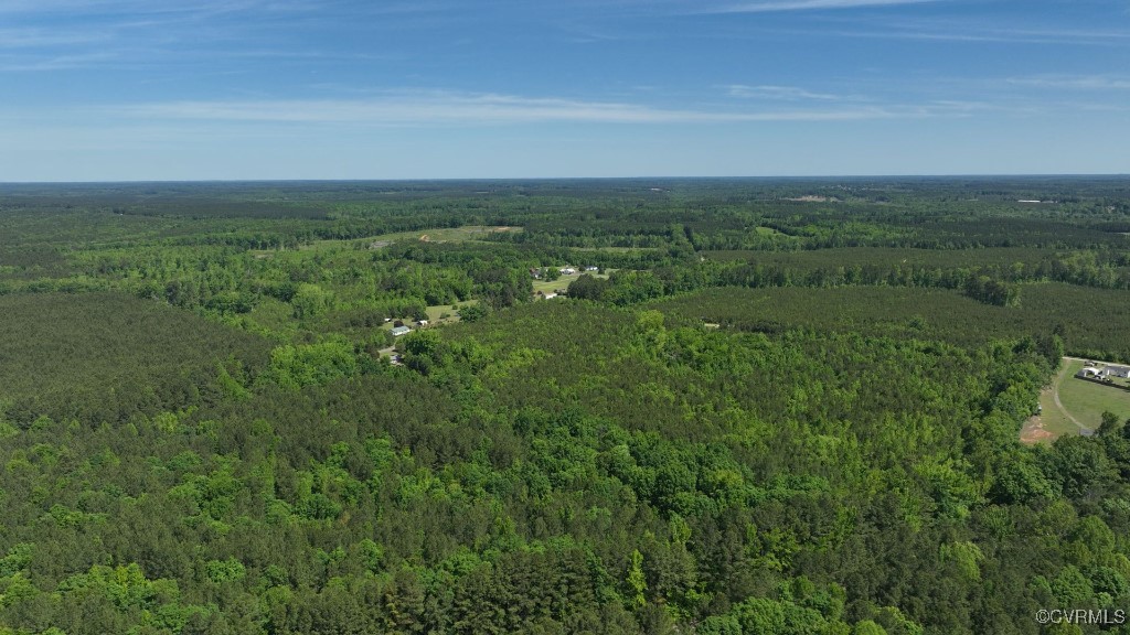 0 Brunswick Drive Alberta, VA 23821 - Photo 9 of 13 a view of a field with an ocean