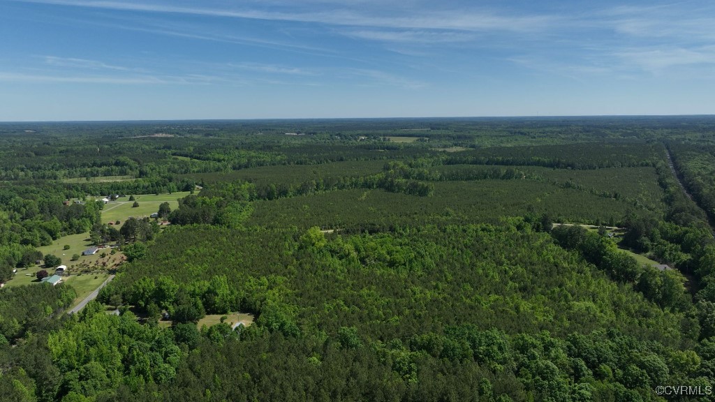 0 Brunswick Drive Alberta, VA 23821 - Photo 10 of 13 an aerial view of field with trees in background