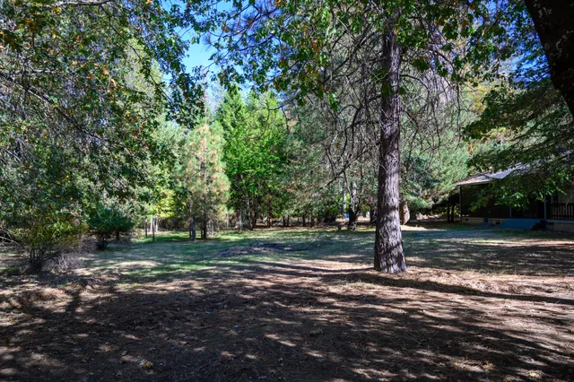a view of a tree in front of a house
