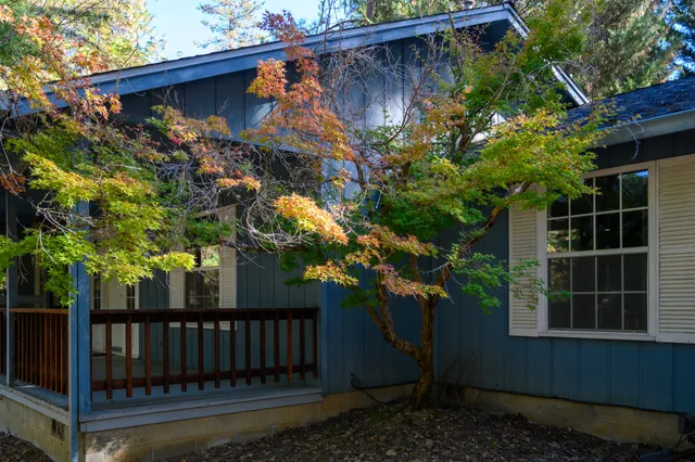 a view of a backyard with plants