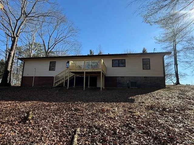 a view of a backyard with a large tree