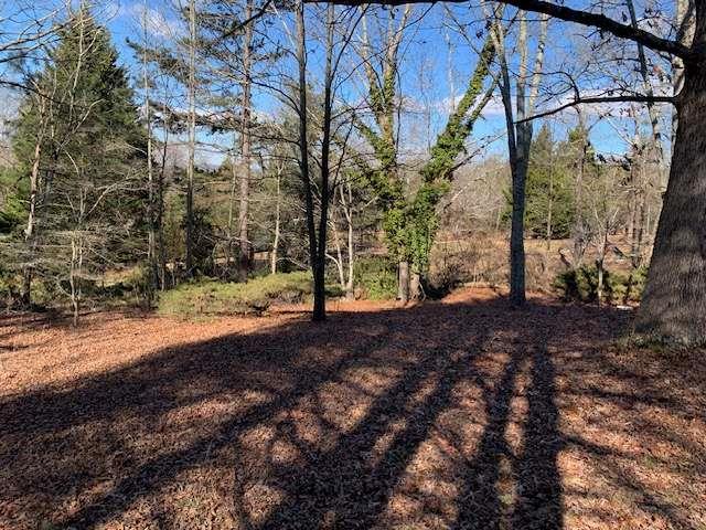 6815 Duncan Road Lula, GA 30554 - Photo 27 of 31 a view of a yard with plants and trees