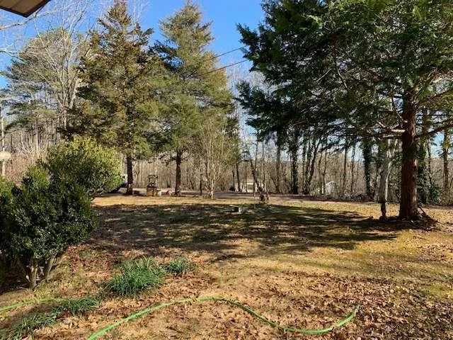 a view of a backyard with large trees