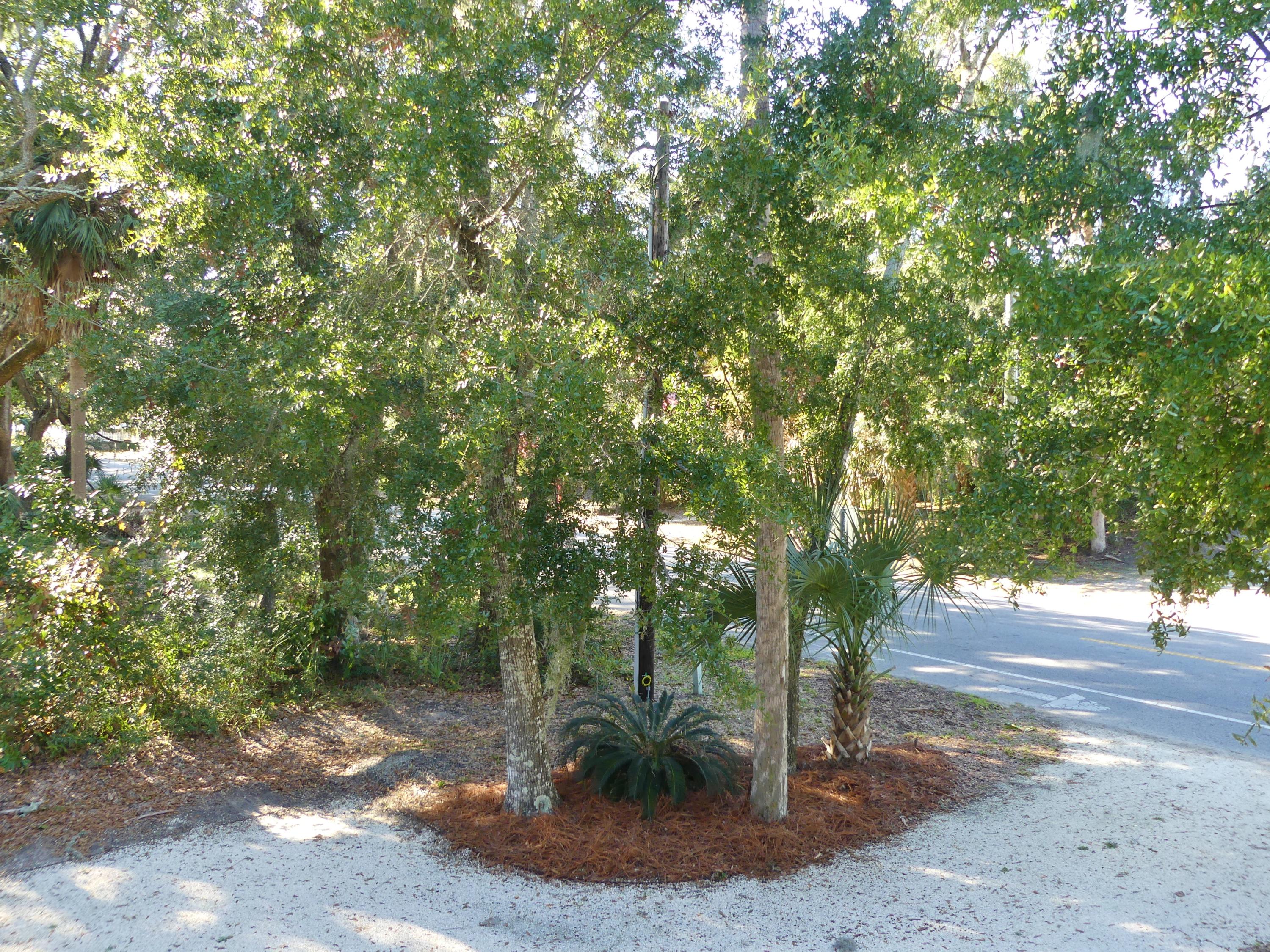 712 Jungle Road Edisto Island, SC 29438 - Photo 55 of 72 54