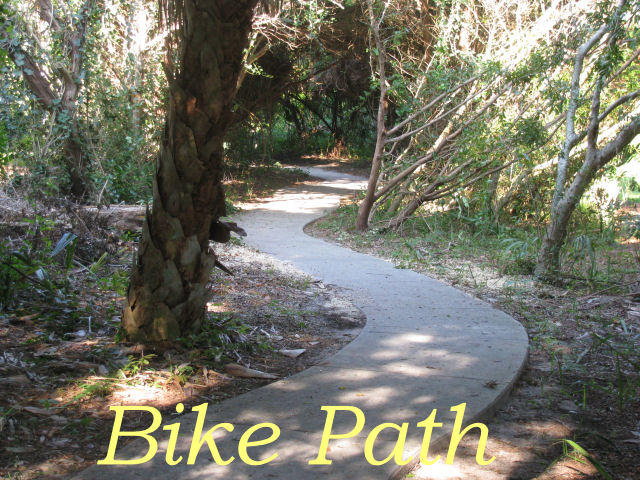 712 Jungle Road Edisto Island, SC 29438 - Photo 67 of 72 70