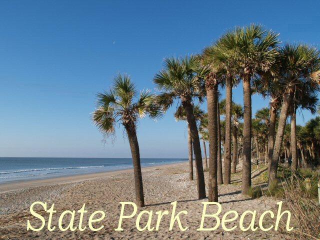 712 Jungle Road Edisto Island, SC 29438 - Photo 71 of 72 74