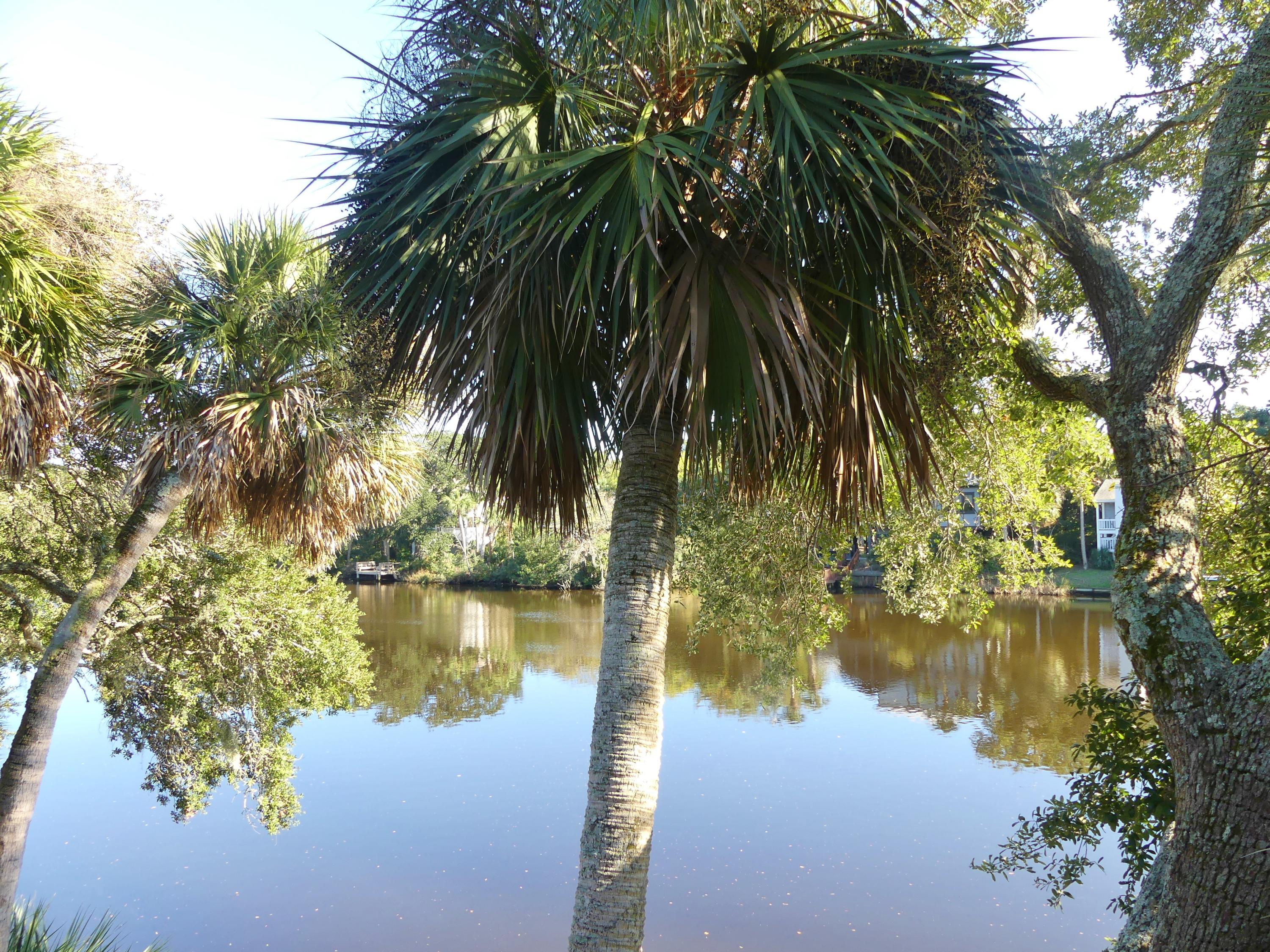 712 Jungle Road Edisto Island, SC 29438 - Photo 72 of 72 P1870671