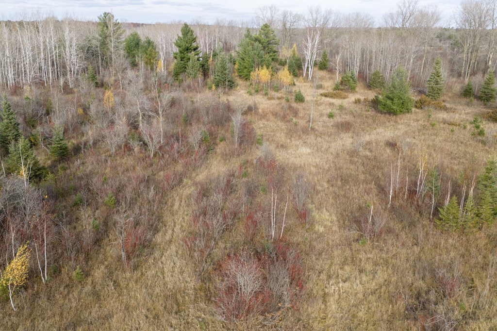 Tbd Djuplin Road Sturgeon Bay, WI 54235 - Photo 14 of 27 Gallery Image 14