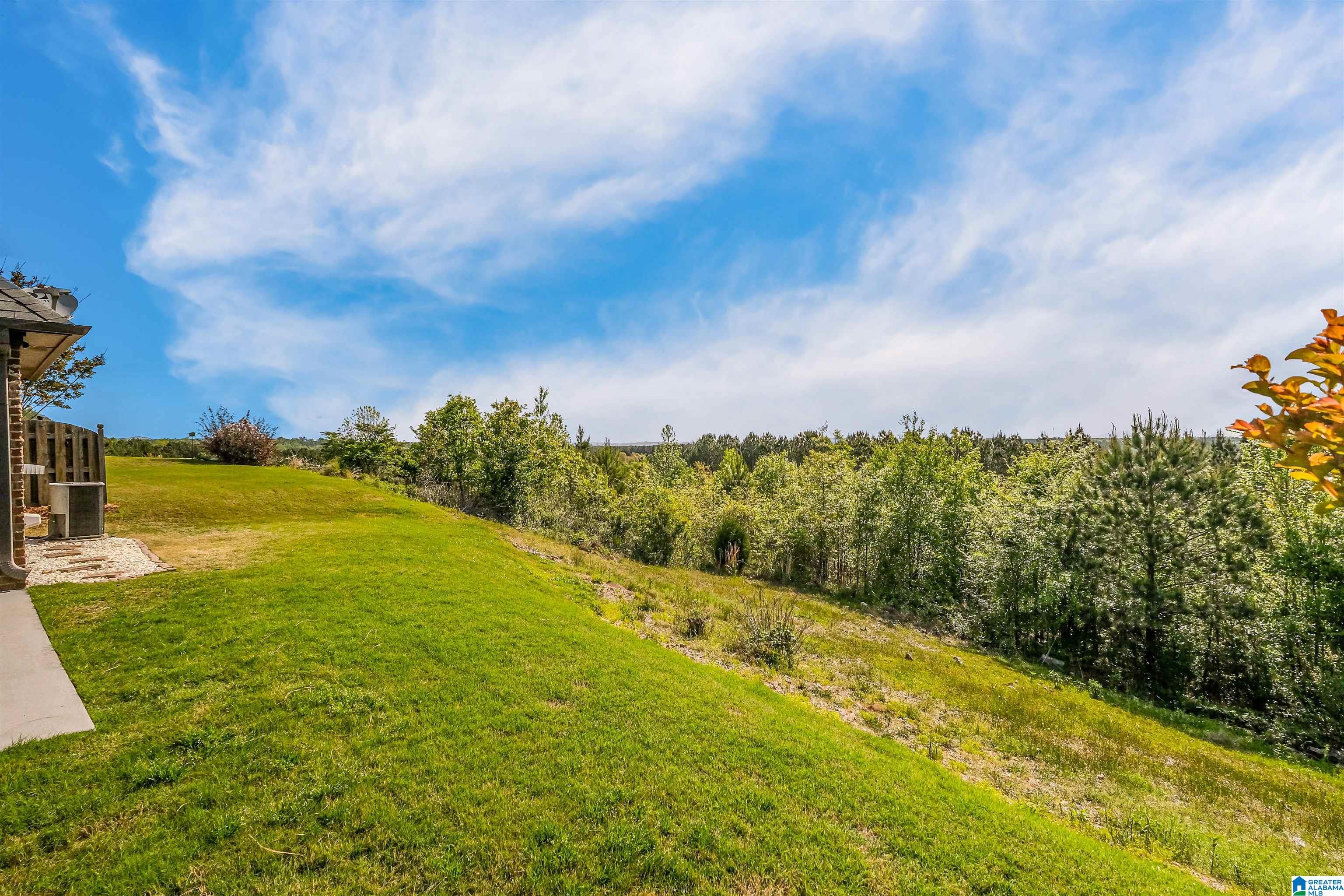 3100 Chelsea Park Ridge Chelsea, AL 35043 - Photo 6 of 9