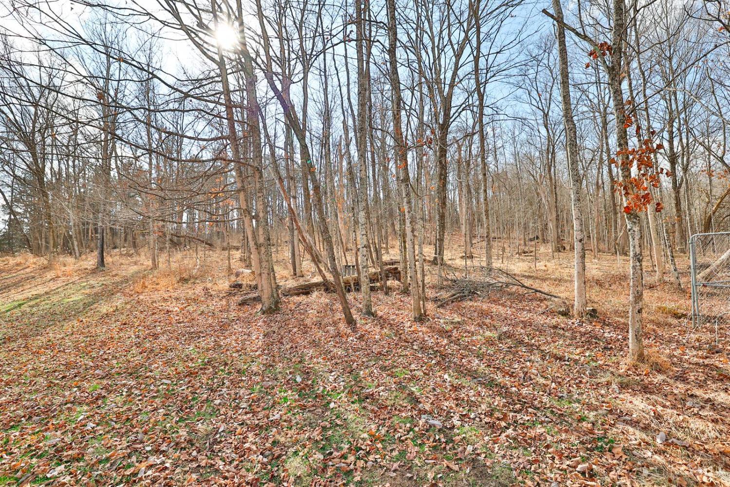 11675 New Biddinger Road Harrison, OH 45030 - Photo 48 of 56