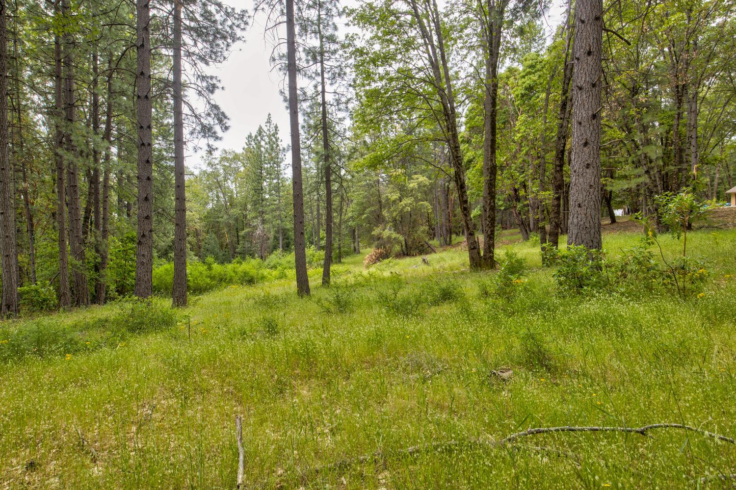 26270 Foresthill Road Foresthill, CA 95631 - Photo 39 of 54