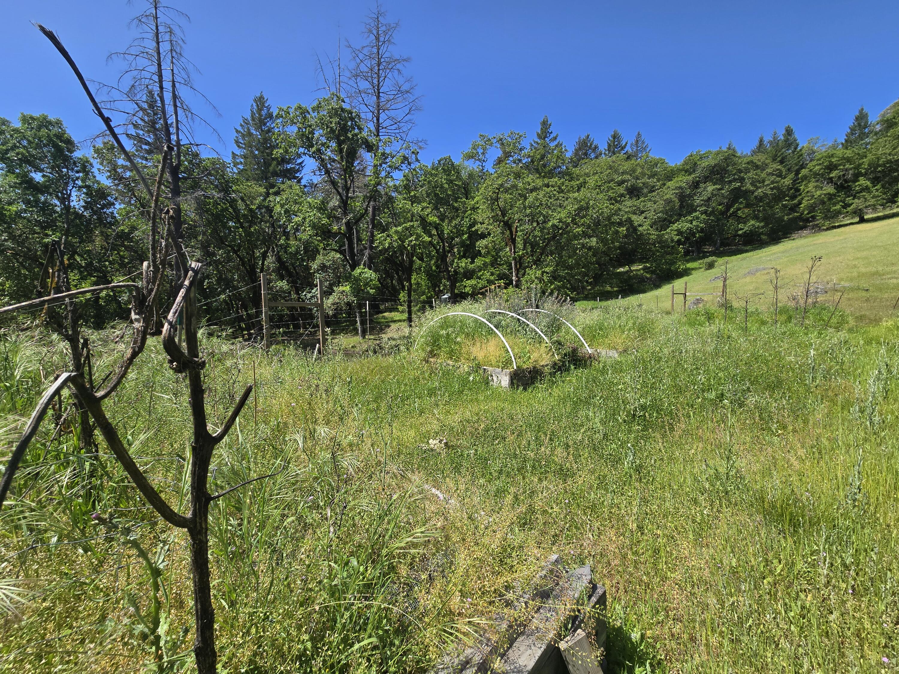 74900 Island Mountain Road Garberville, CA 95542 - Photo 15 of 37