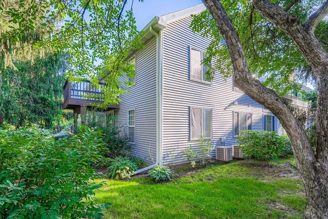a backyard of a house with plants and large tree