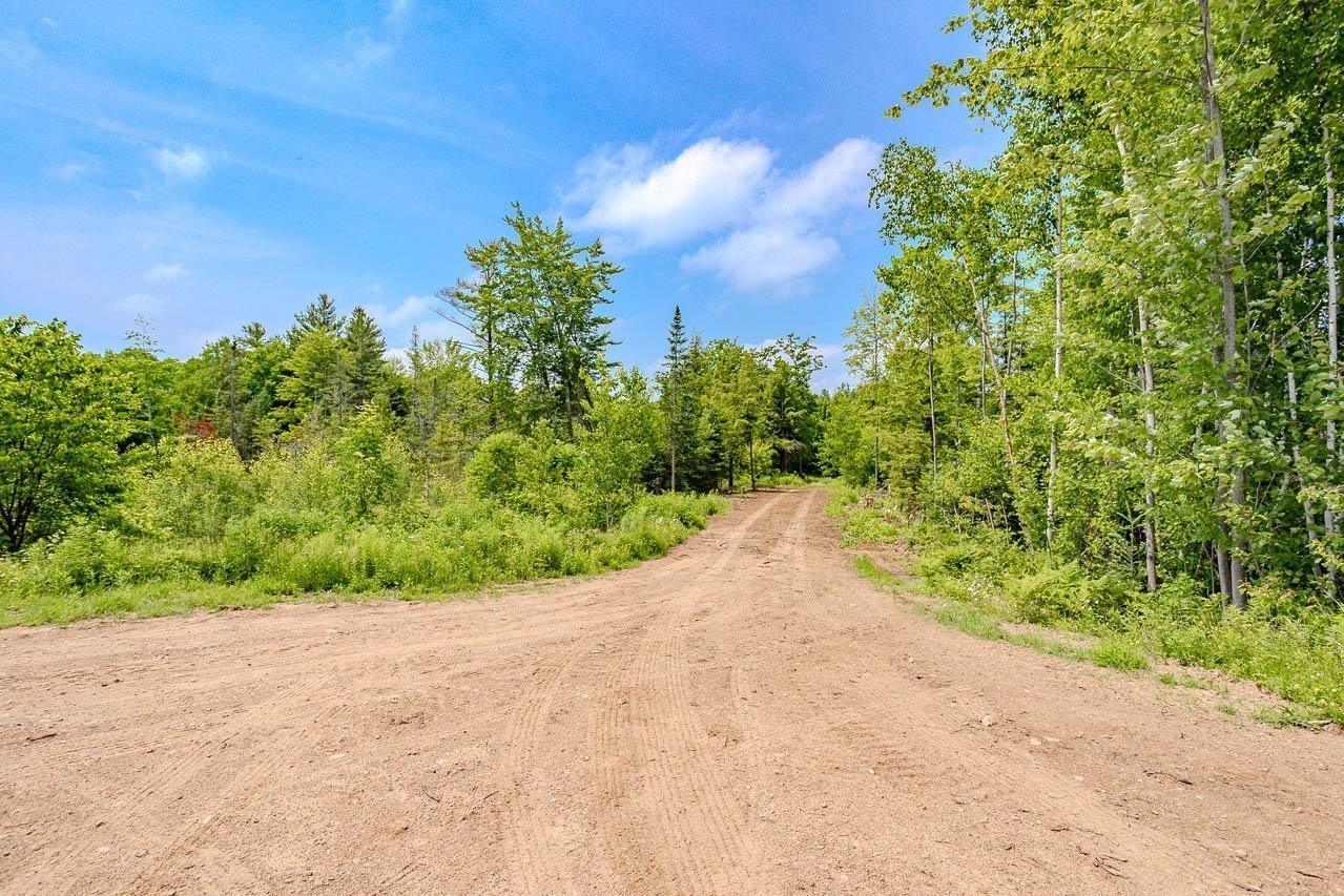 W4601 Olivotti Lake Road Merrill, WI 54452 - Photo 35 of 45