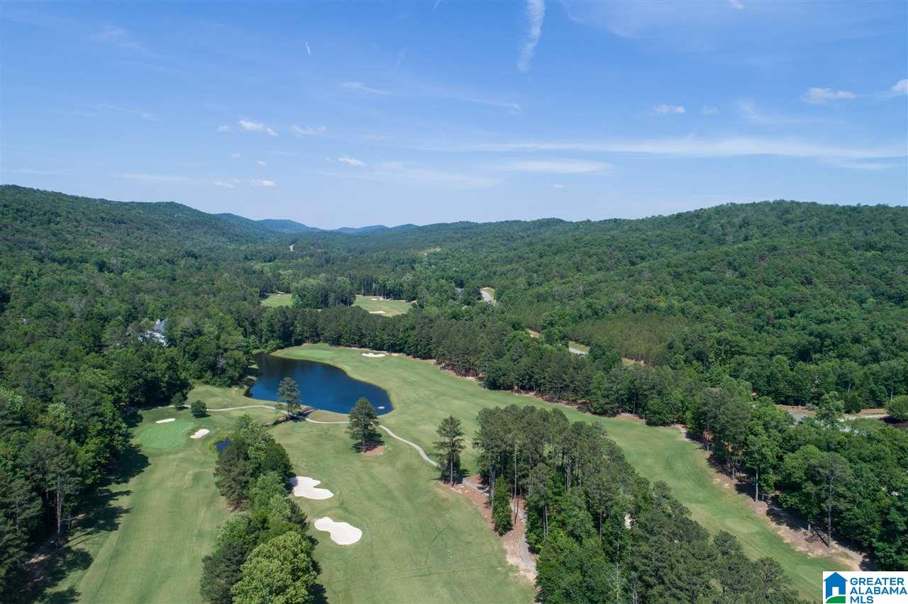 84 Muirfield Circle Oneonta, AL 35121 - Photo 4 of 50