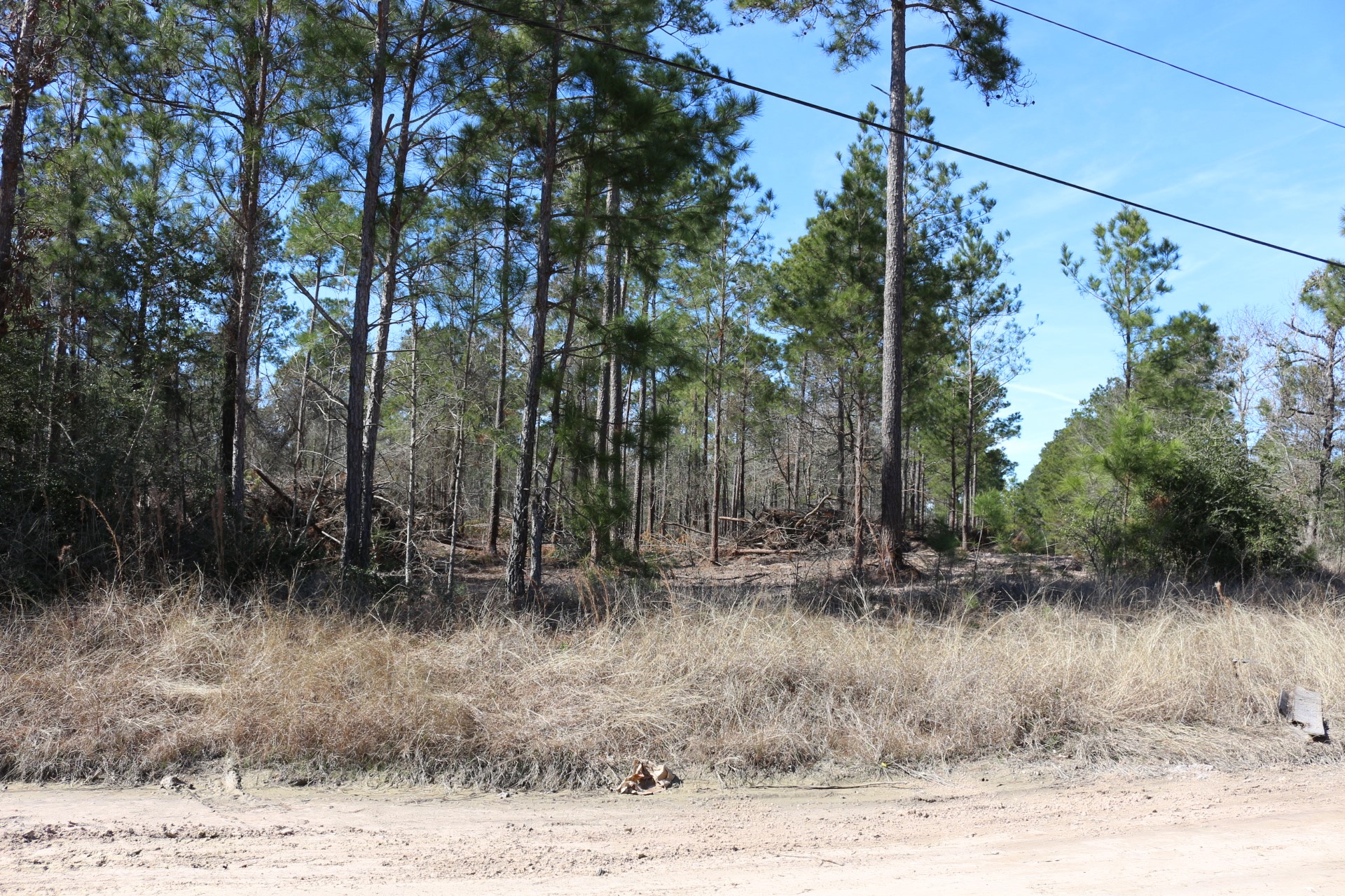 11-2 North Hanson Road Onalaska, TX 77360 - Photo 33 of 48 a view of a dry yard