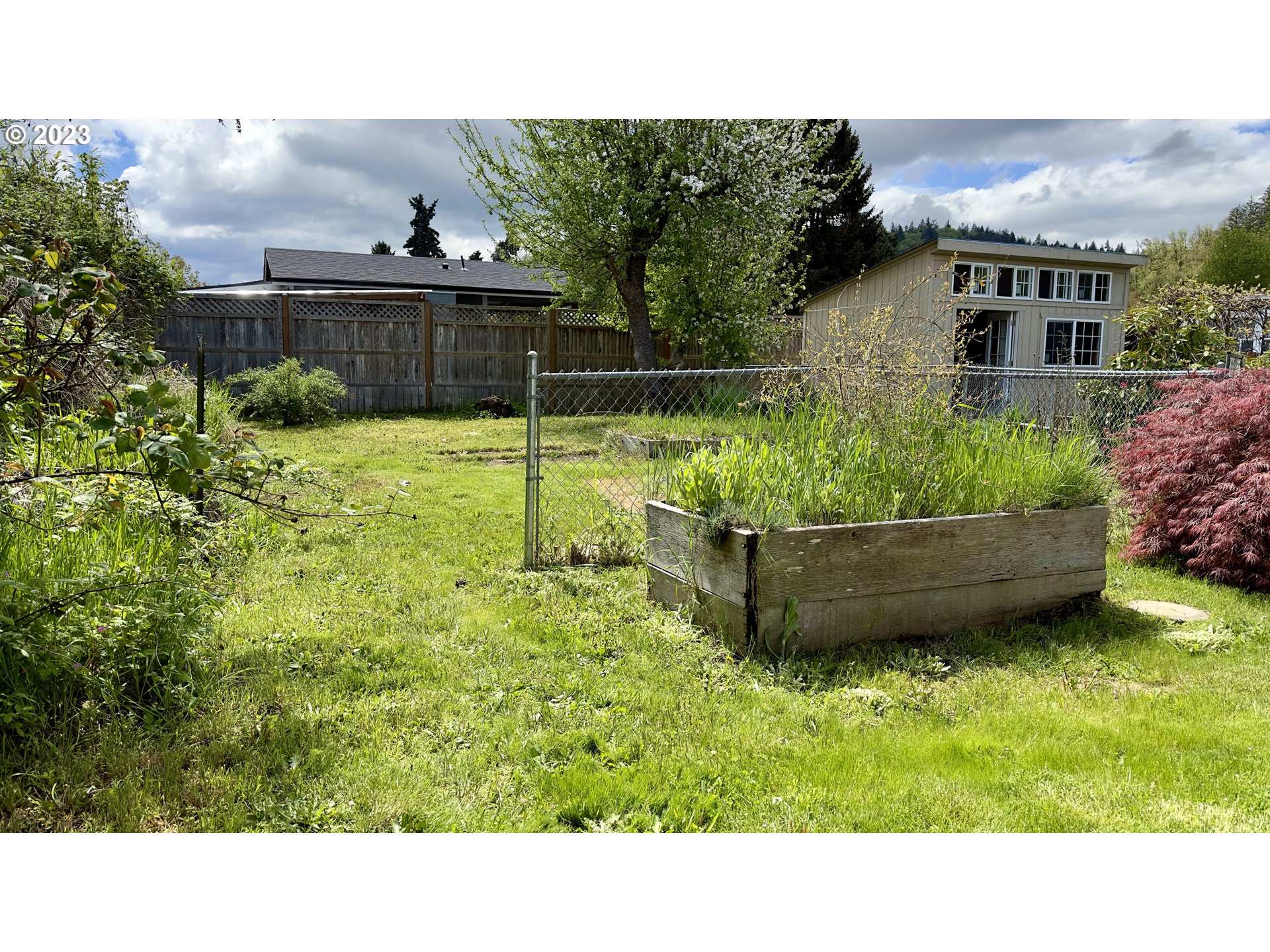 1695 Harbor Drive Springfield, OR 97477 - Photo 18 of 26 a view of a backyard with plants