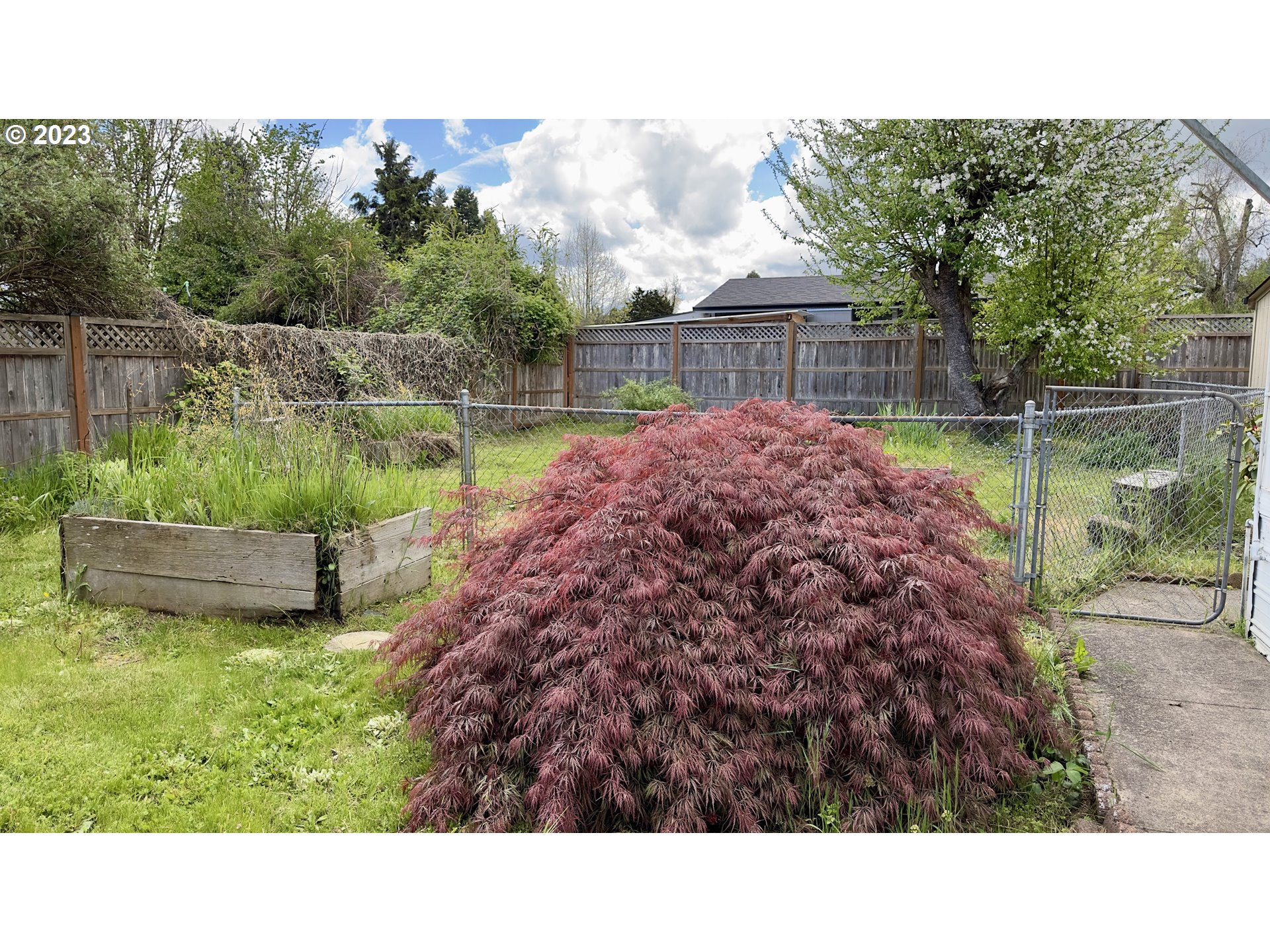 1695 Harbor Drive Springfield, OR 97477 - Photo 25 of 26 a black and white photo of a garden
