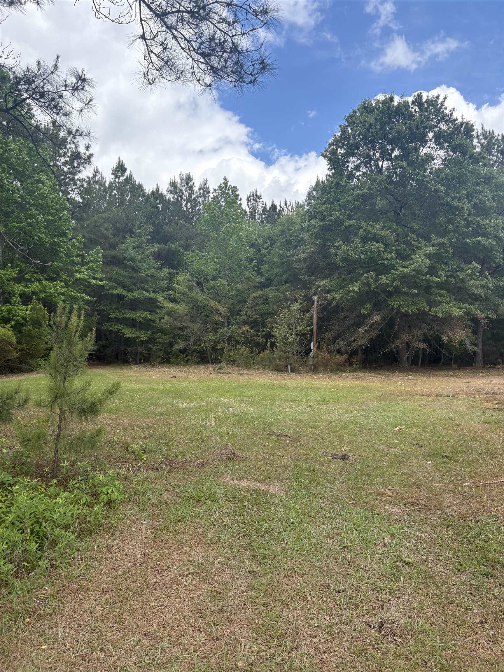 452 Tram Road Lake City, SC 29560 - Photo 11 of 23