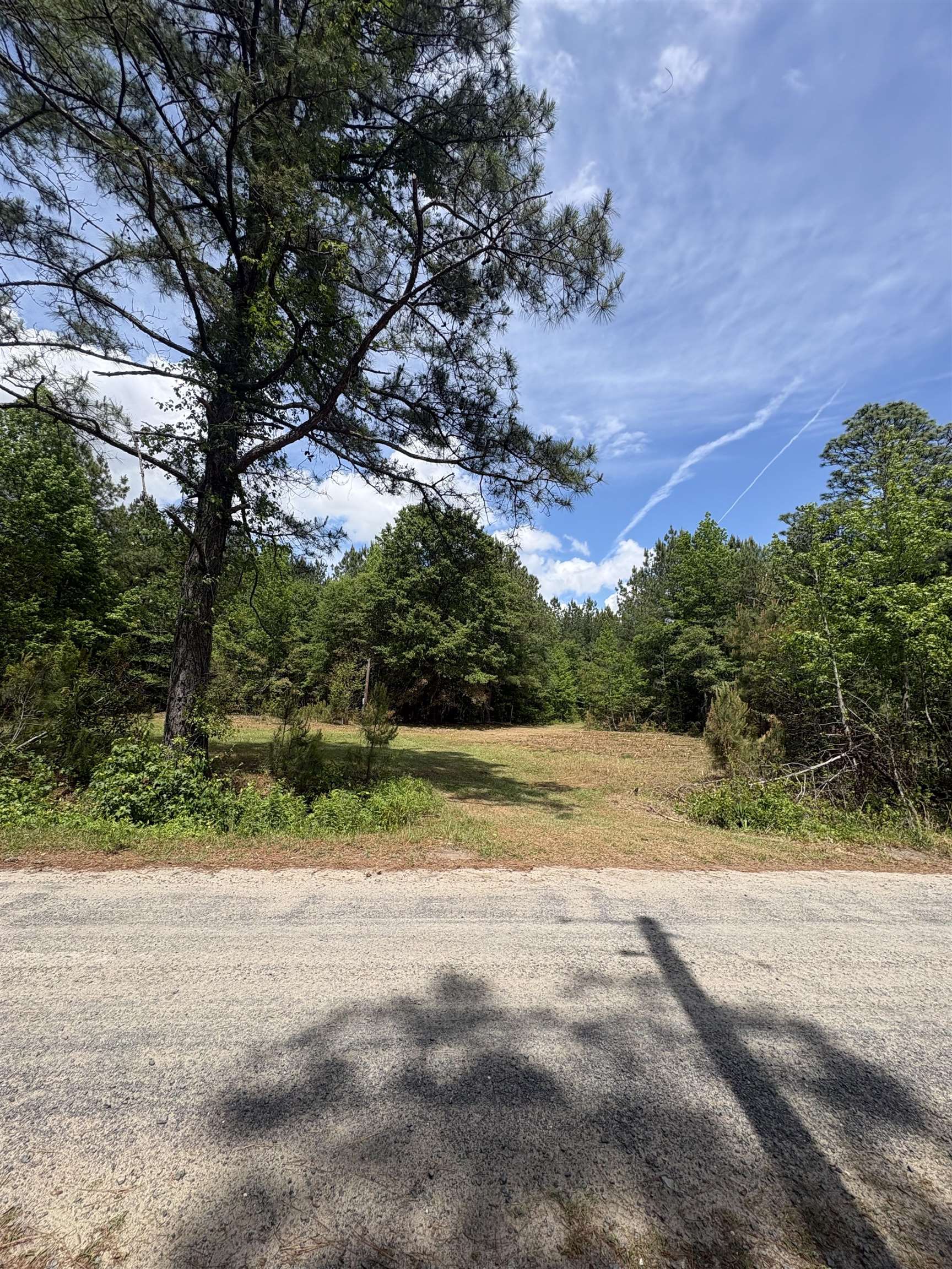452 Tram Road Lake City, SC 29560 - Photo 12 of 23
