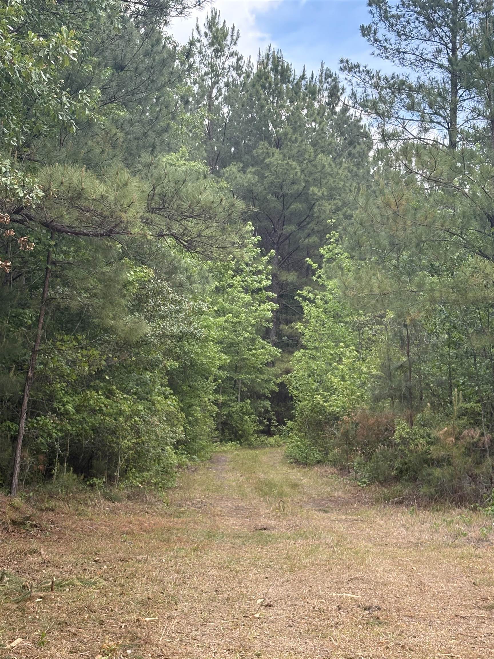 452 Tram Road Lake City, SC 29560 - Photo 13 of 23