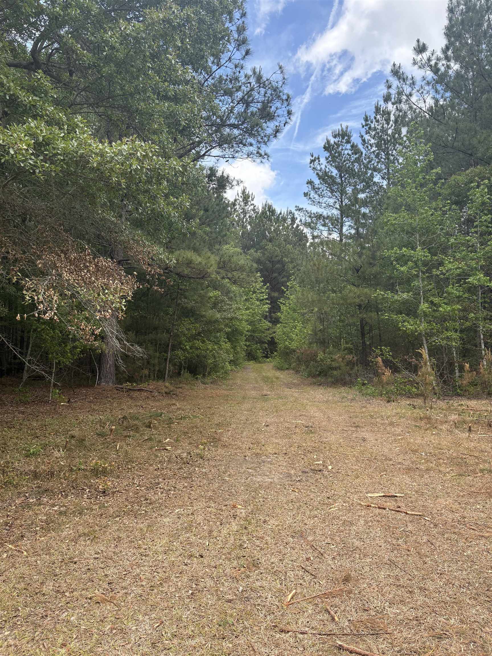 452 Tram Road Lake City, SC 29560 - Photo 14 of 23