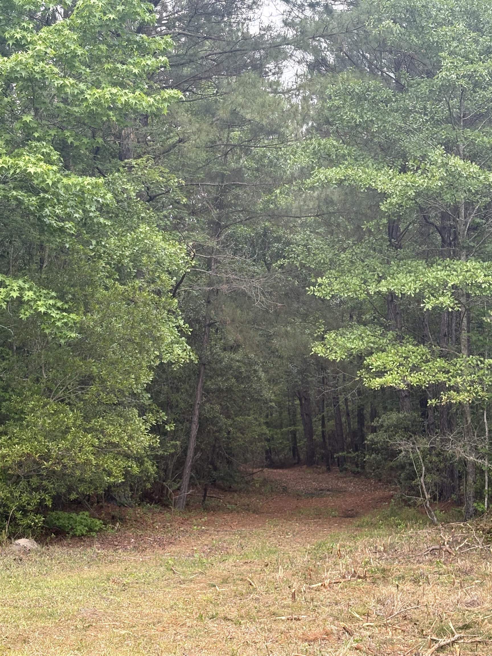 452 Tram Road Lake City, SC 29560 - Photo 15 of 23
