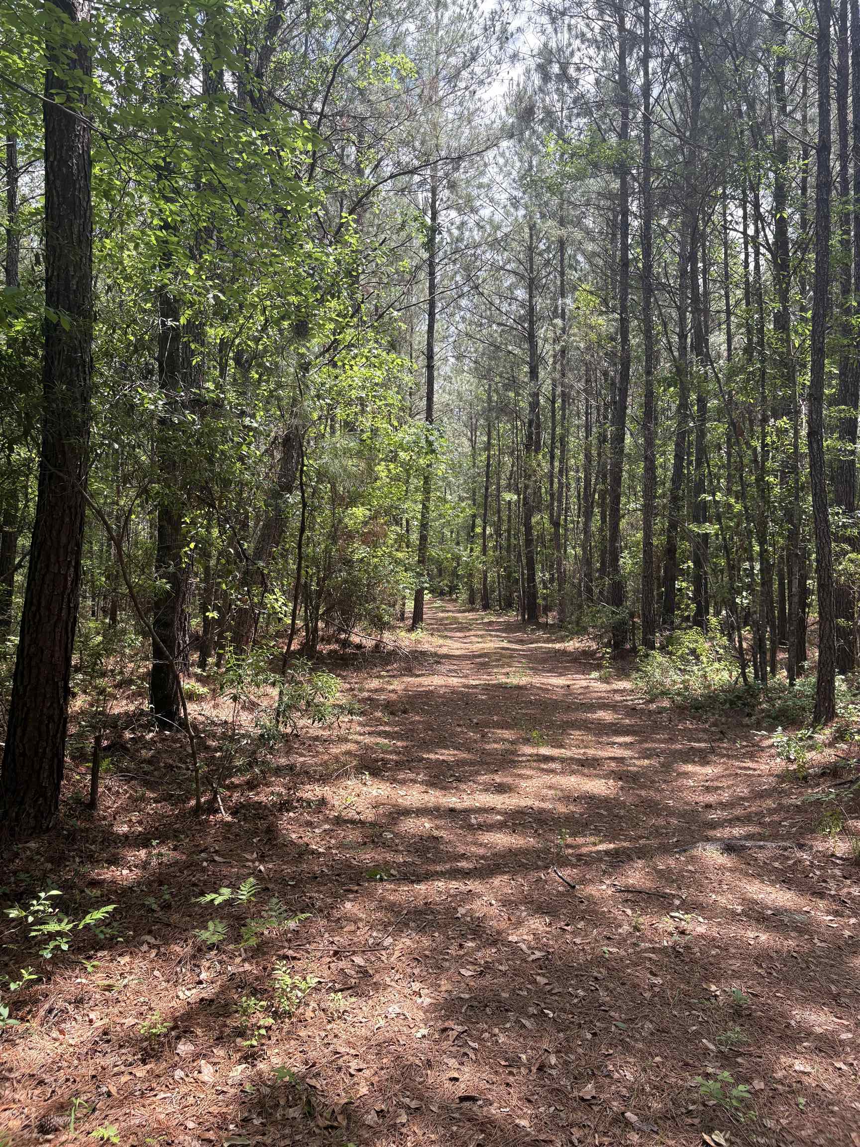 452 Tram Road Lake City, SC 29560 - Photo 16 of 23