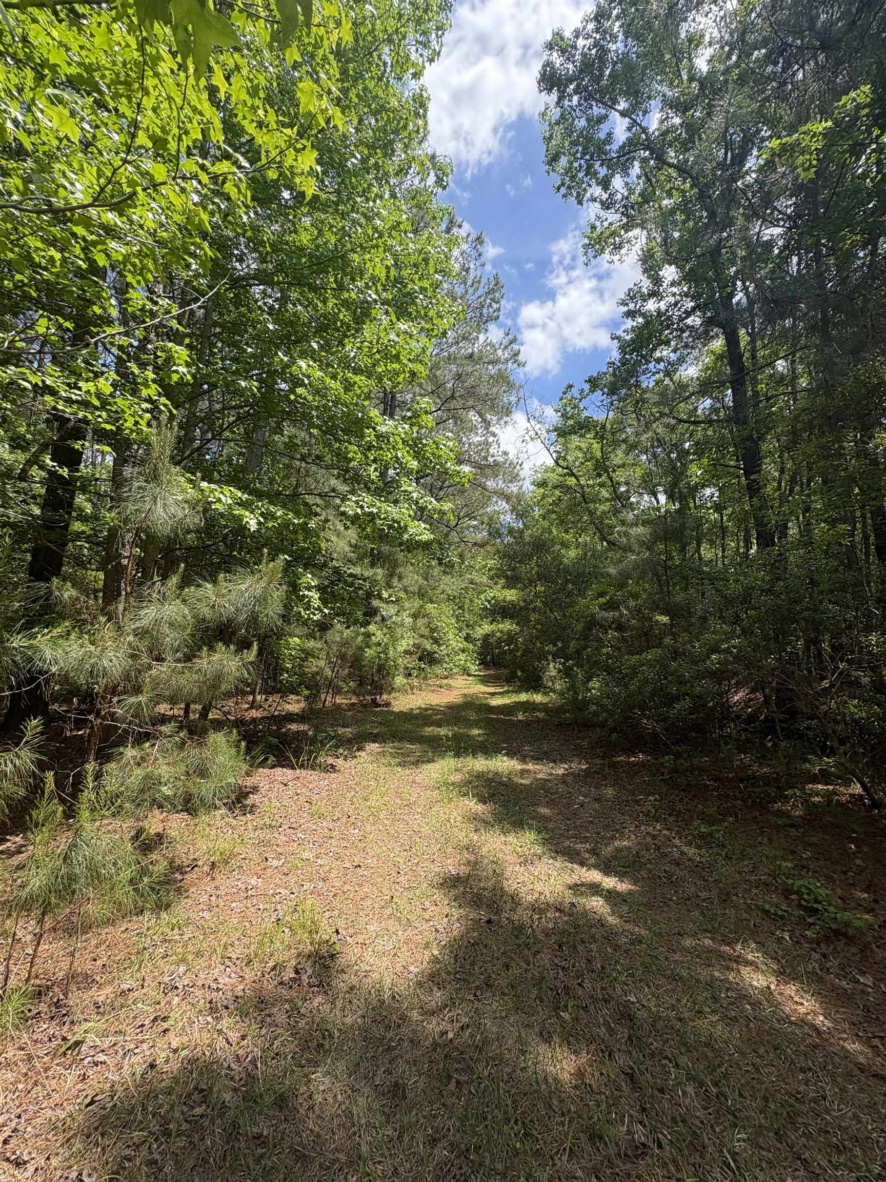 452 Tram Road Lake City, SC 29560 - Photo 17 of 23