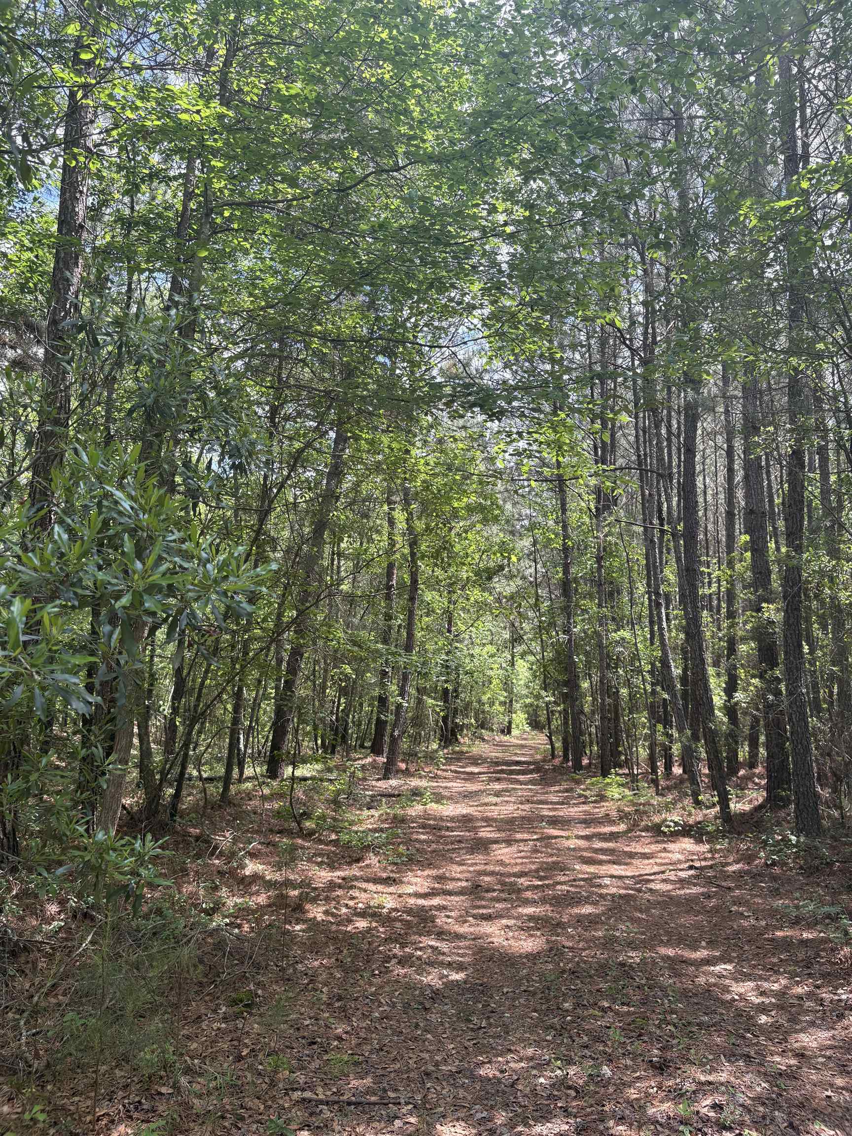452 Tram Road Lake City, SC 29560 - Photo 18 of 23