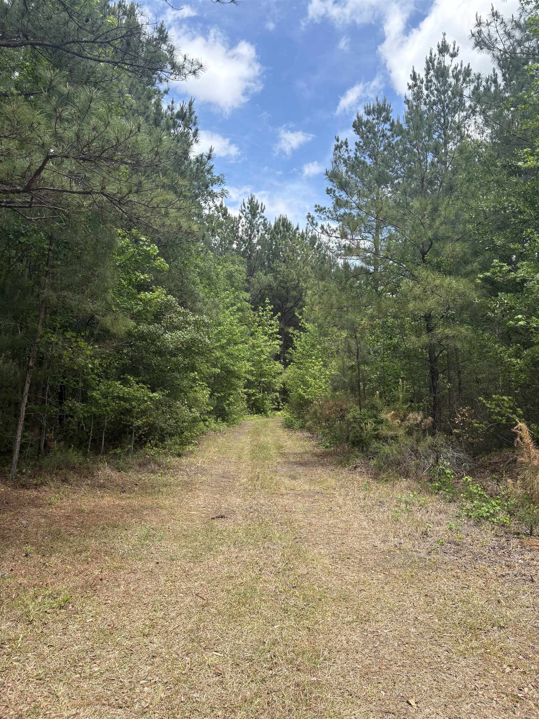 452 Tram Road Lake City, SC 29560 - Photo 20 of 23