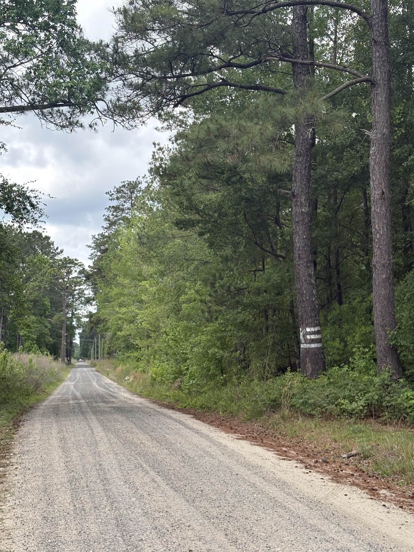 452 Tram Road Lake City, SC 29560 - Photo 2 of 23