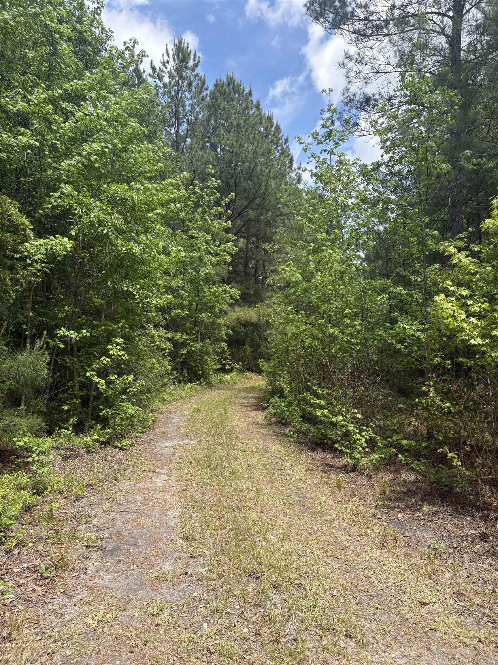 452 Tram Road Lake City, SC 29560 - Photo 21 of 23