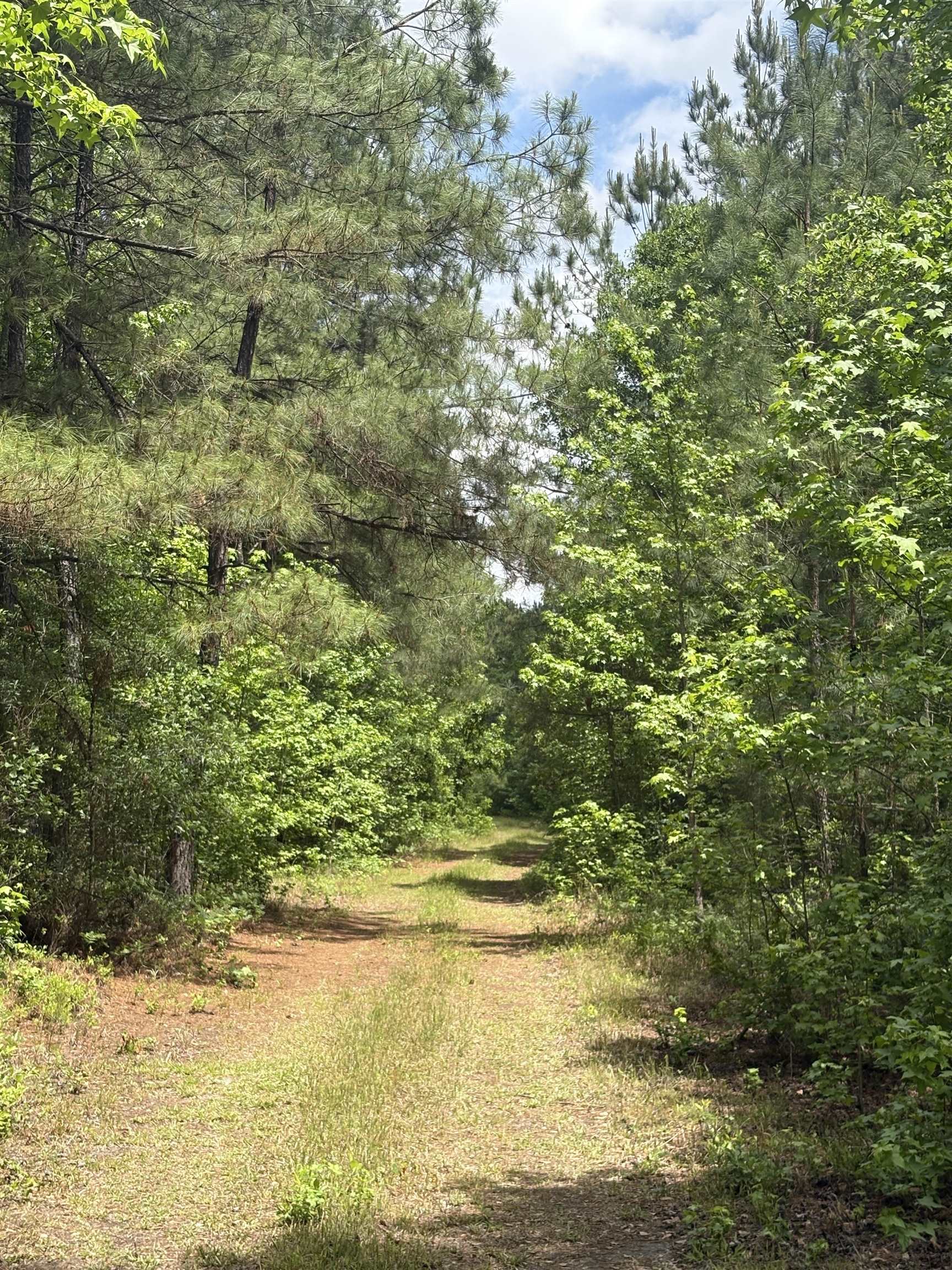 452 Tram Road Lake City, SC 29560 - Photo 22 of 23