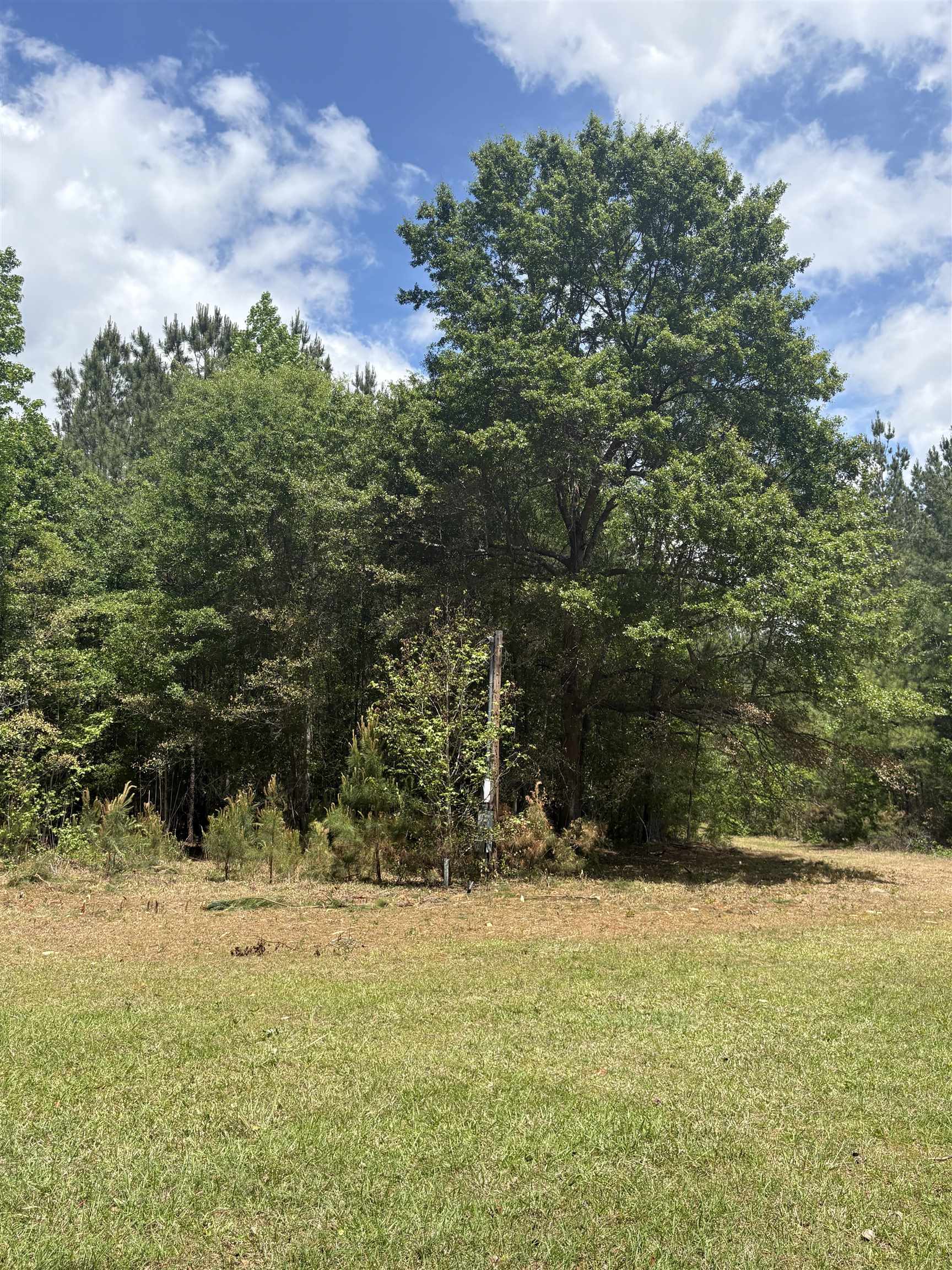 452 Tram Road Lake City, SC 29560 - Photo 23 of 23