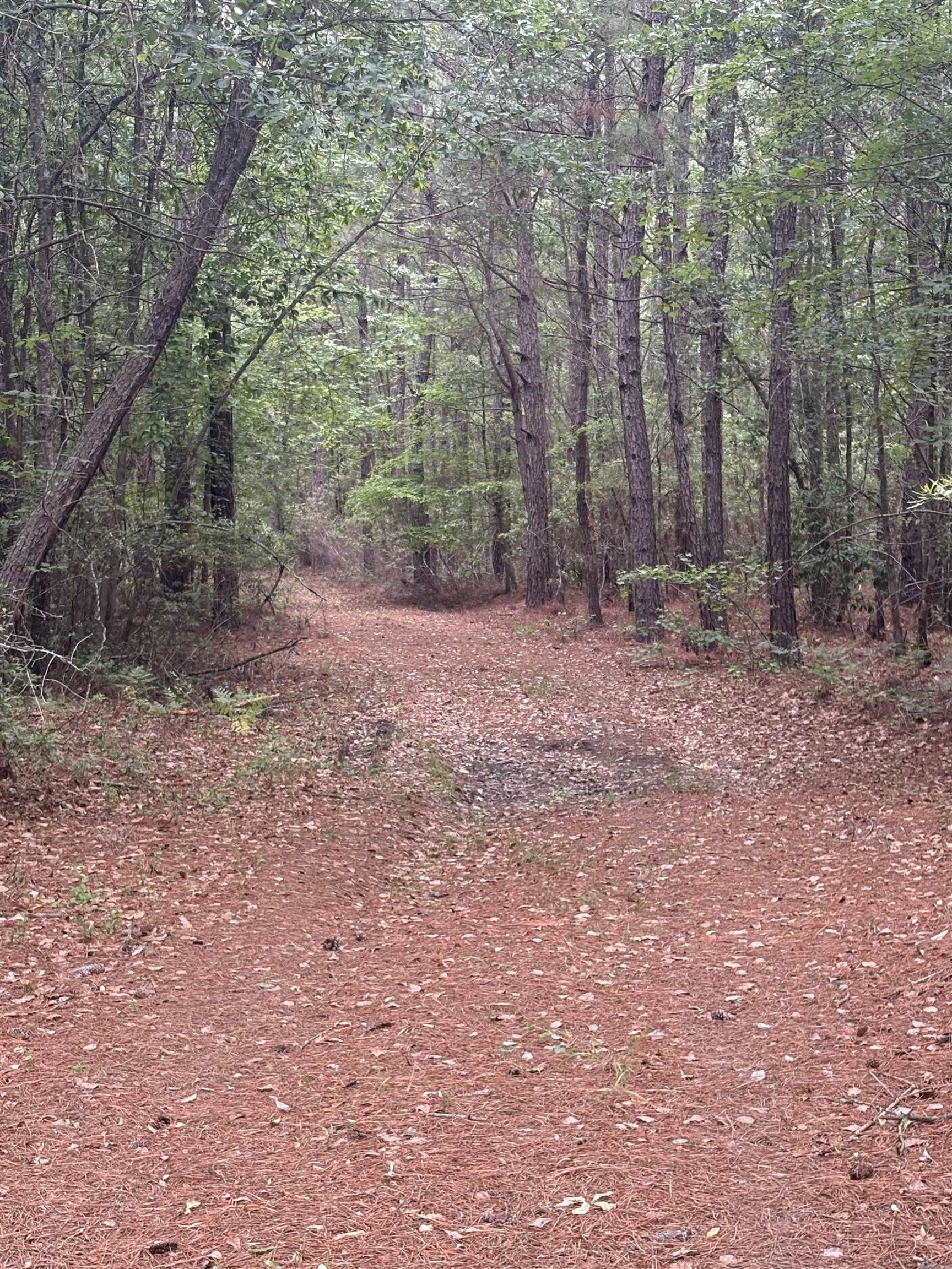 452 Tram Road Lake City, SC 29560 - Photo 3 of 23