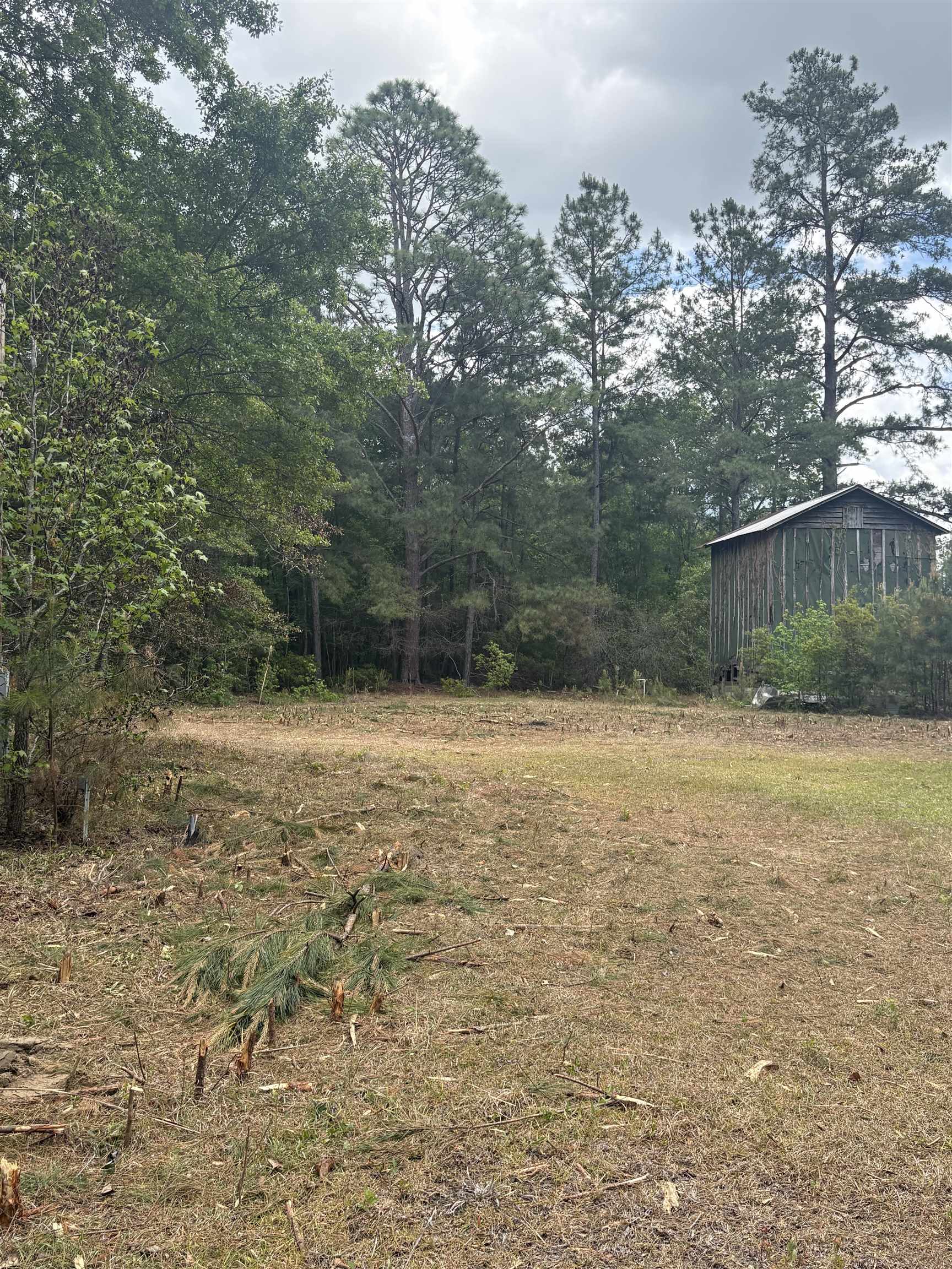 452 Tram Road Lake City, SC 29560 - Photo 7 of 23