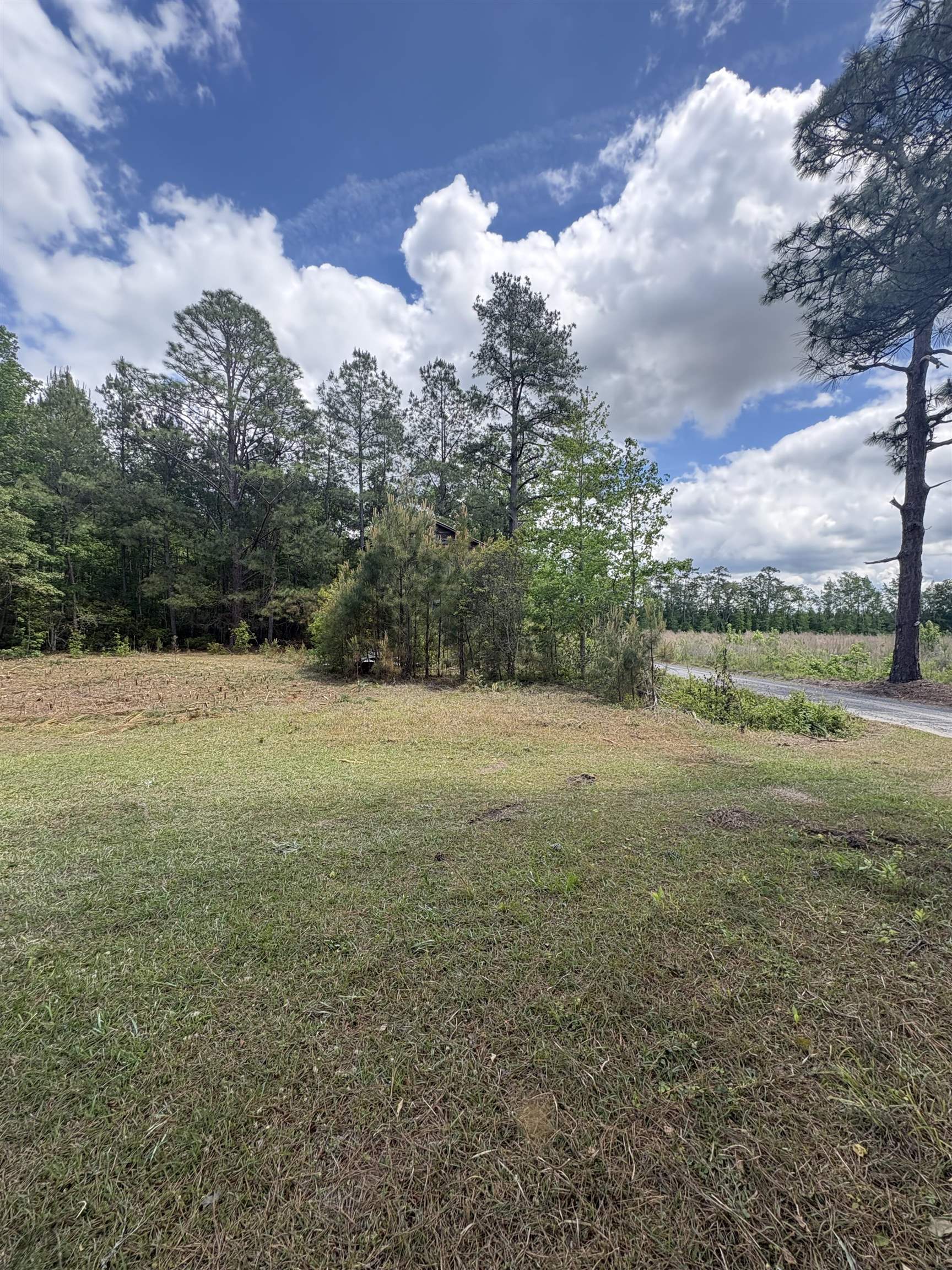 452 Tram Road Lake City, SC 29560 - Photo 8 of 23