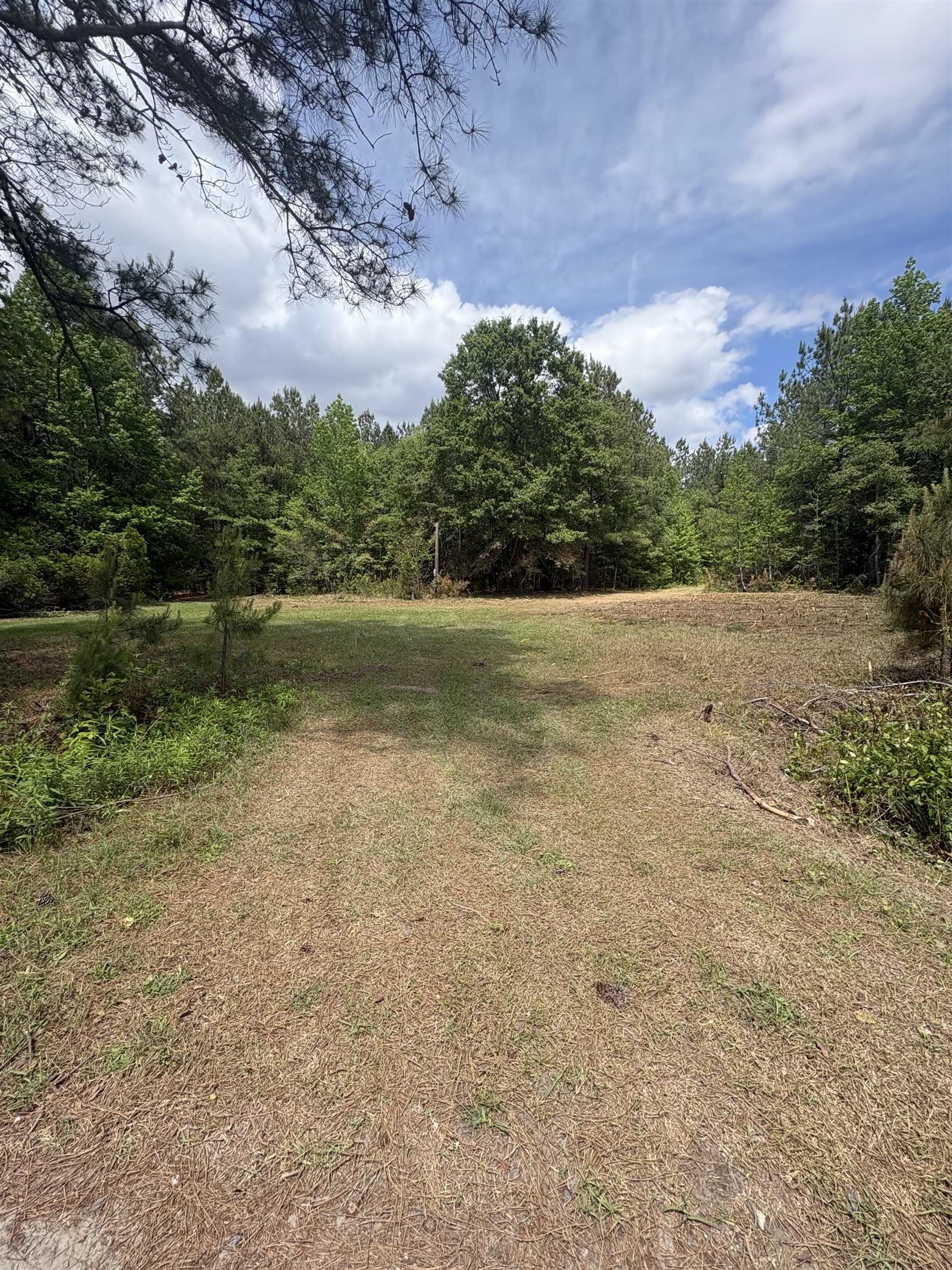 452 Tram Road Lake City, SC 29560 - Photo 9 of 23