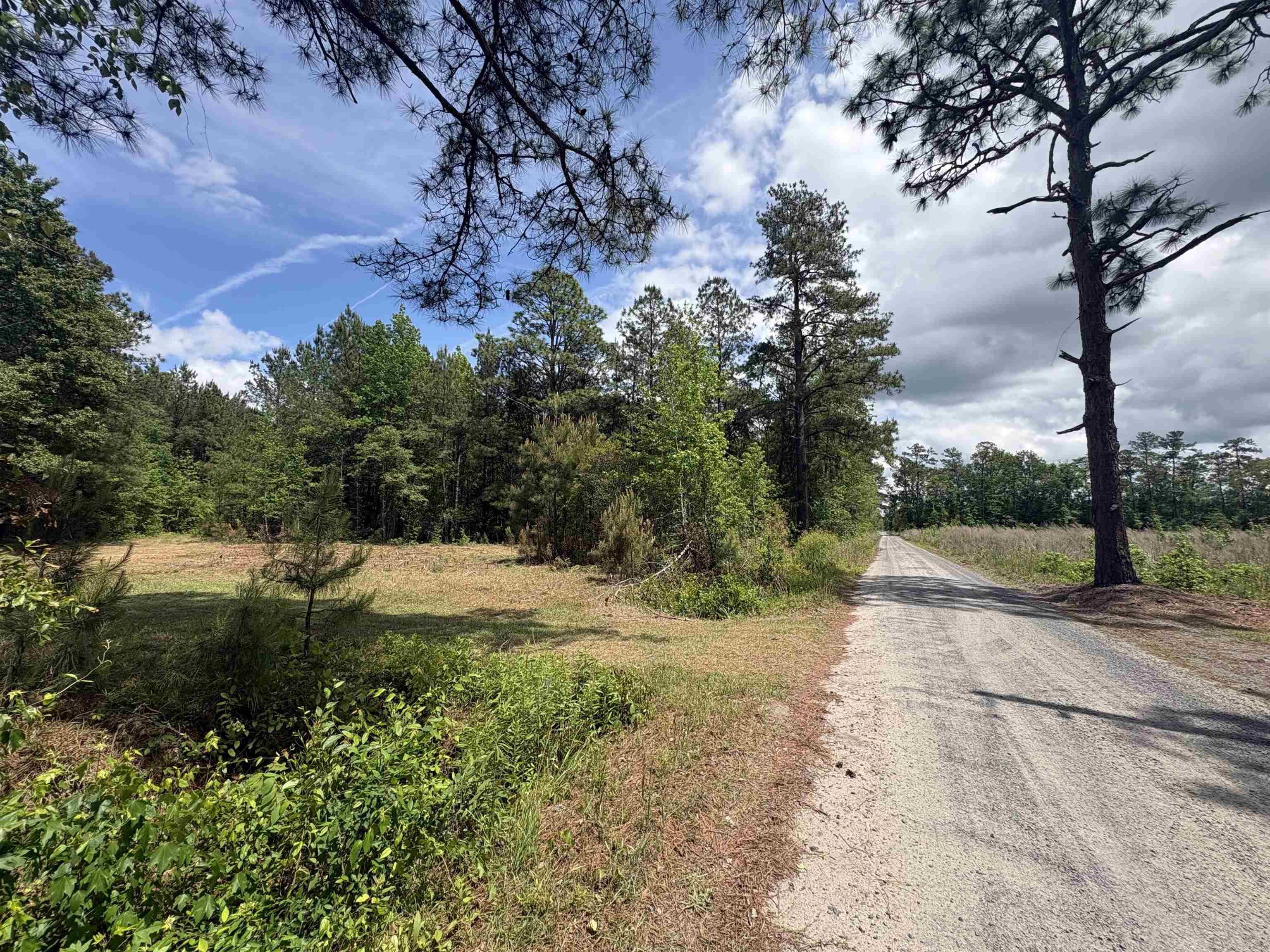 452 Tram Road Lake City, SC 29560 - Photo 10 of 23