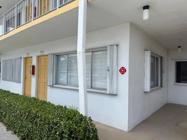 a view of a garden from a window