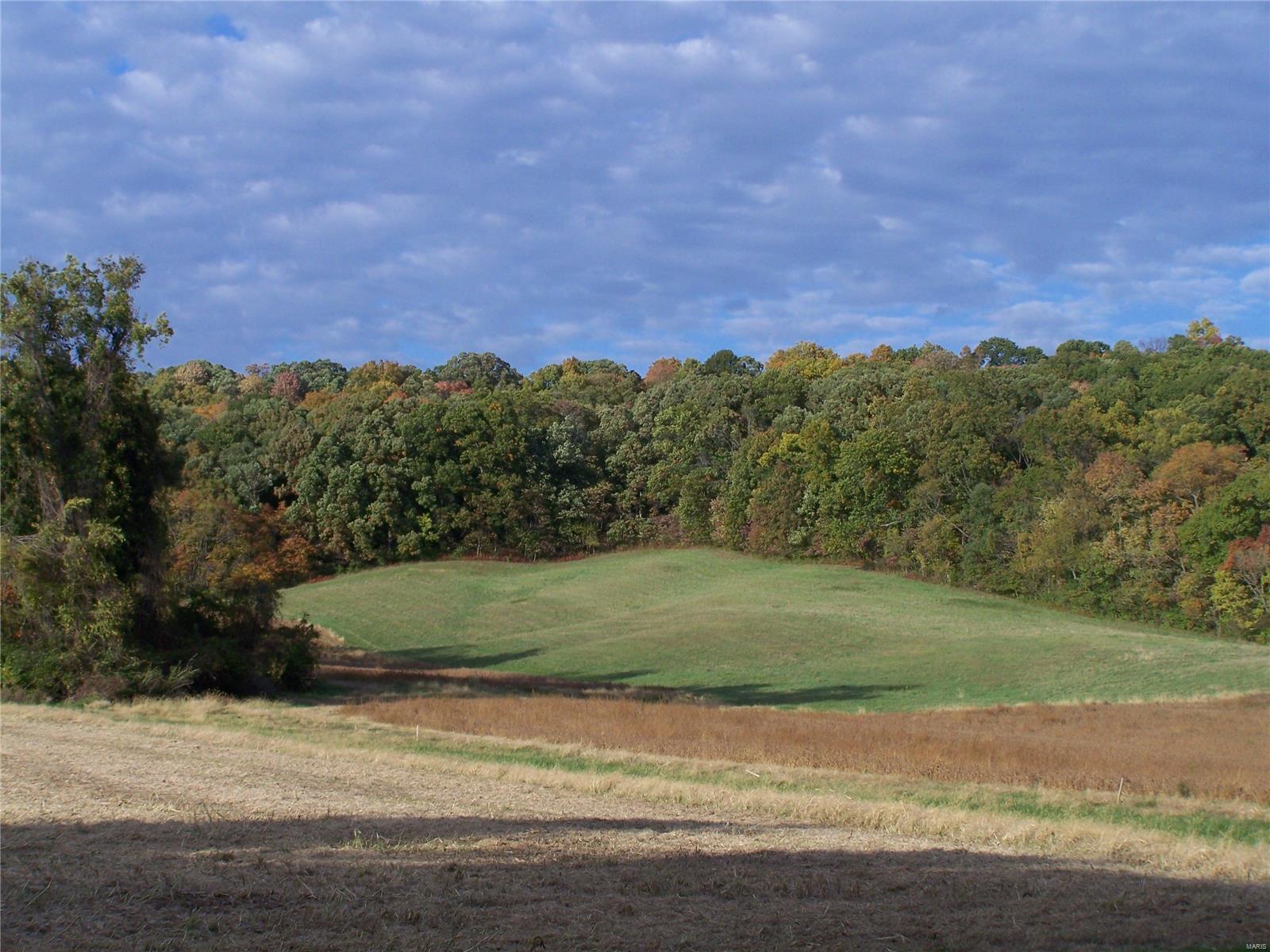 664 Poor Farm Hollow Road Hardin, IL 62047 - Photo 11 of 35 Gallery Image 11