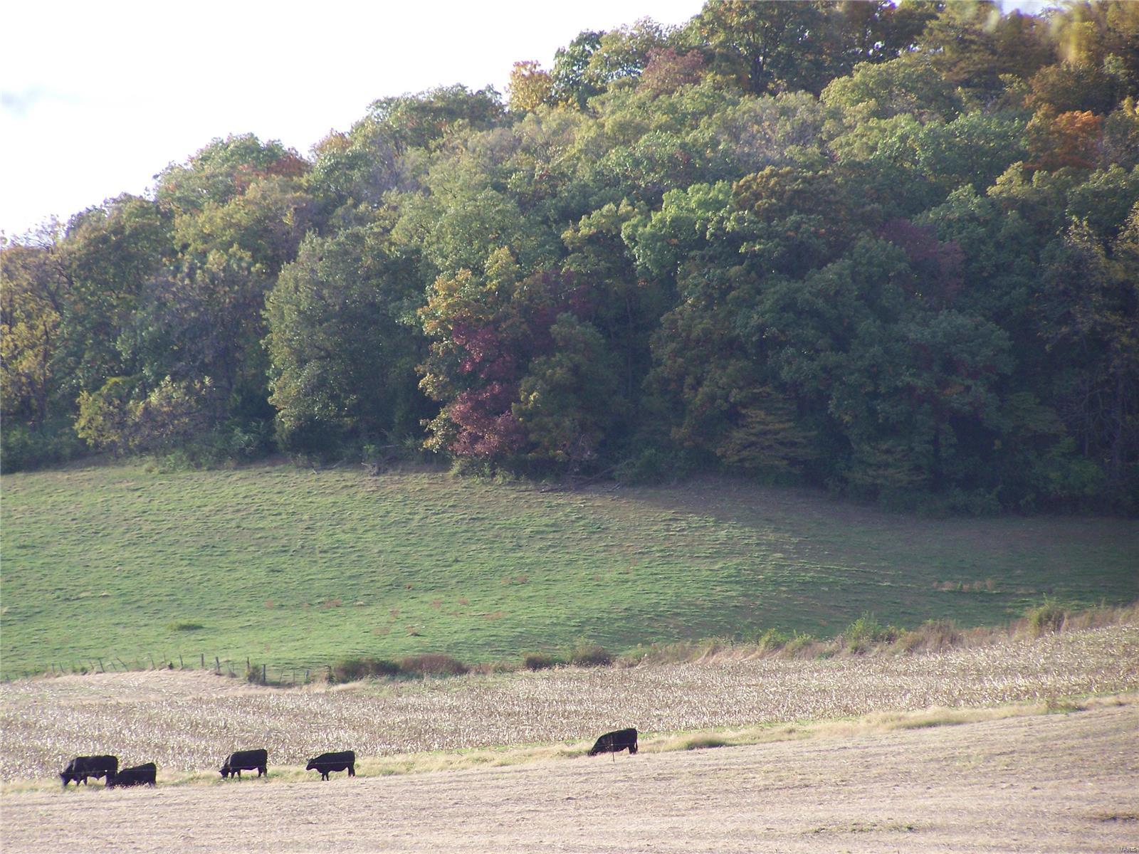 664 Poor Farm Hollow Road Hardin, IL 62047 - Photo 12 of 35 Gallery Image 12