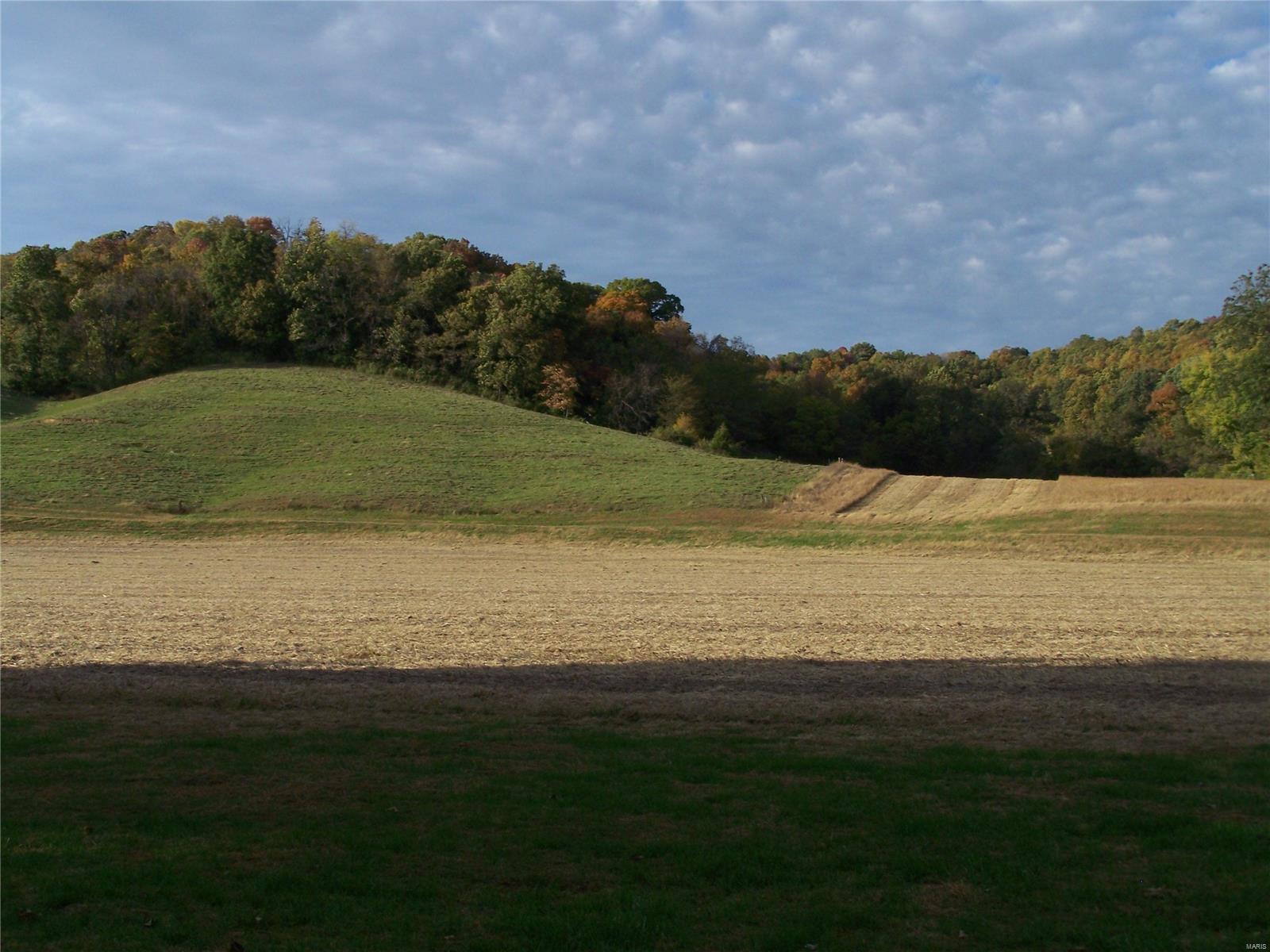 664 Poor Farm Hollow Road Hardin, IL 62047 - Photo 7 of 35 Gallery Image 7