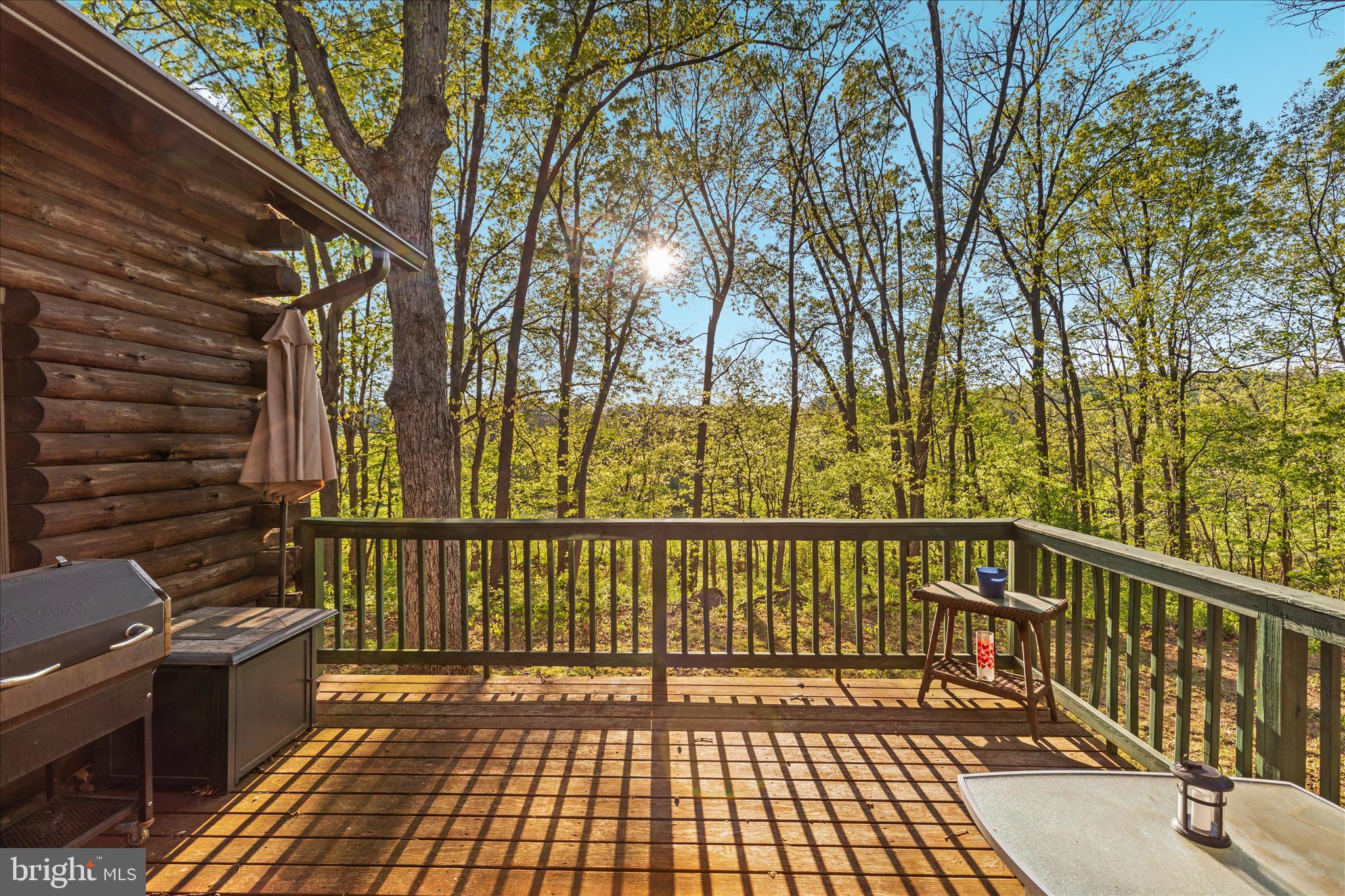 428 Apple Pie Ridge Road Winchester, VA 22603 - Photo 19 of 65 Views from deck