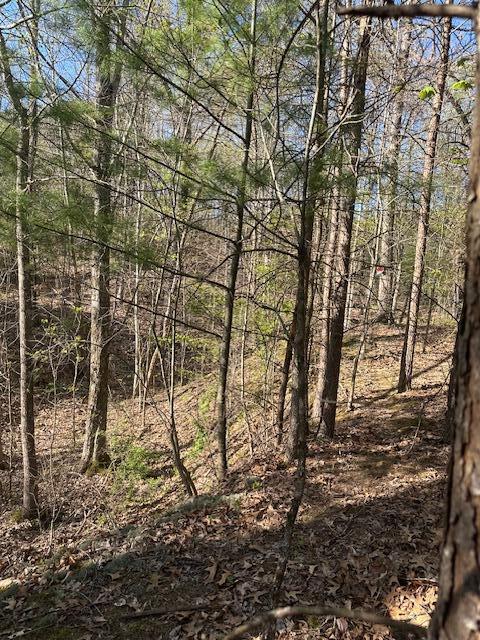 35310 Geiger Road Logan, OH 43138 - Photo 15 of 56 IMG_8845
