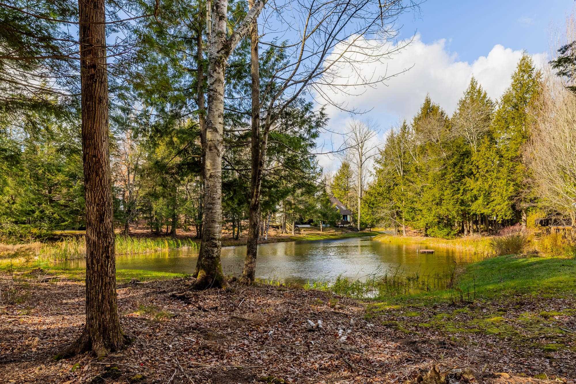 9 Pond View Road, Unit 9 Winhall, VT 05340 - Photo 39 of 46